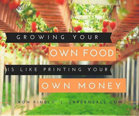 12523965_829477090489760_4513462873715490739_n